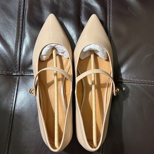 Brand New J. CREW Patent Pointed-Toe Mary Jane Flats